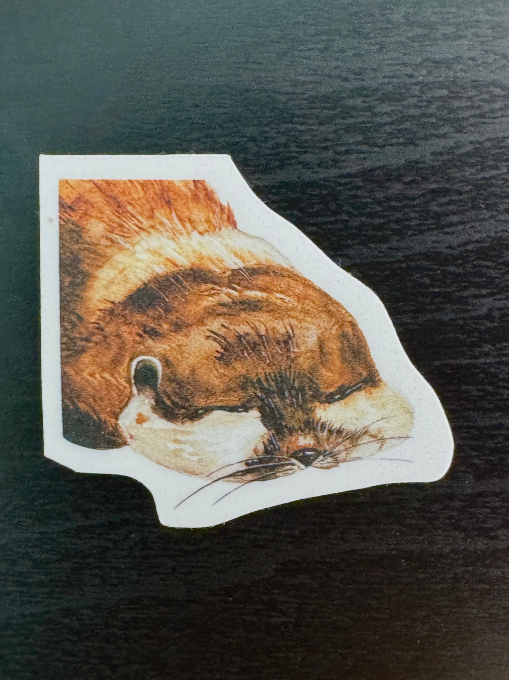 Cute Eepy Otter Sticker
